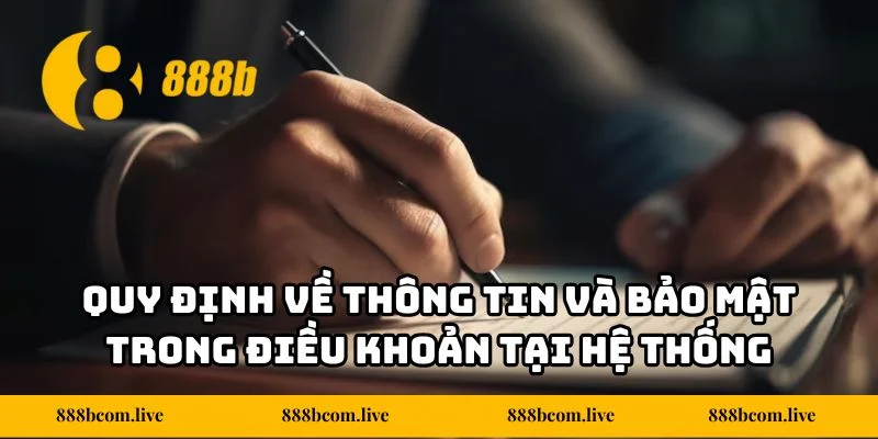 Quy định về thông tin và bảo mật trong điều khoản tại hệ thống