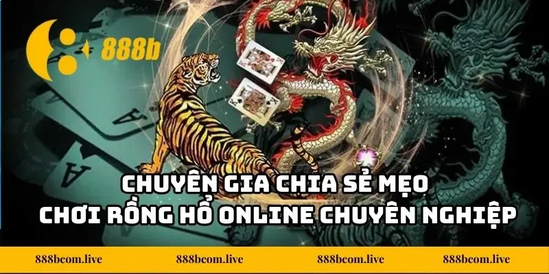 Chuyên gia chia sẻ mẹo chơi Rồng Hổ online chuyên nghiệp