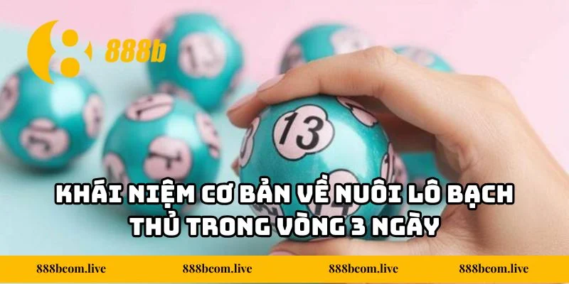 Khái niệm cơ bản về nuôi lô bạch thủ trong vòng 3 ngày